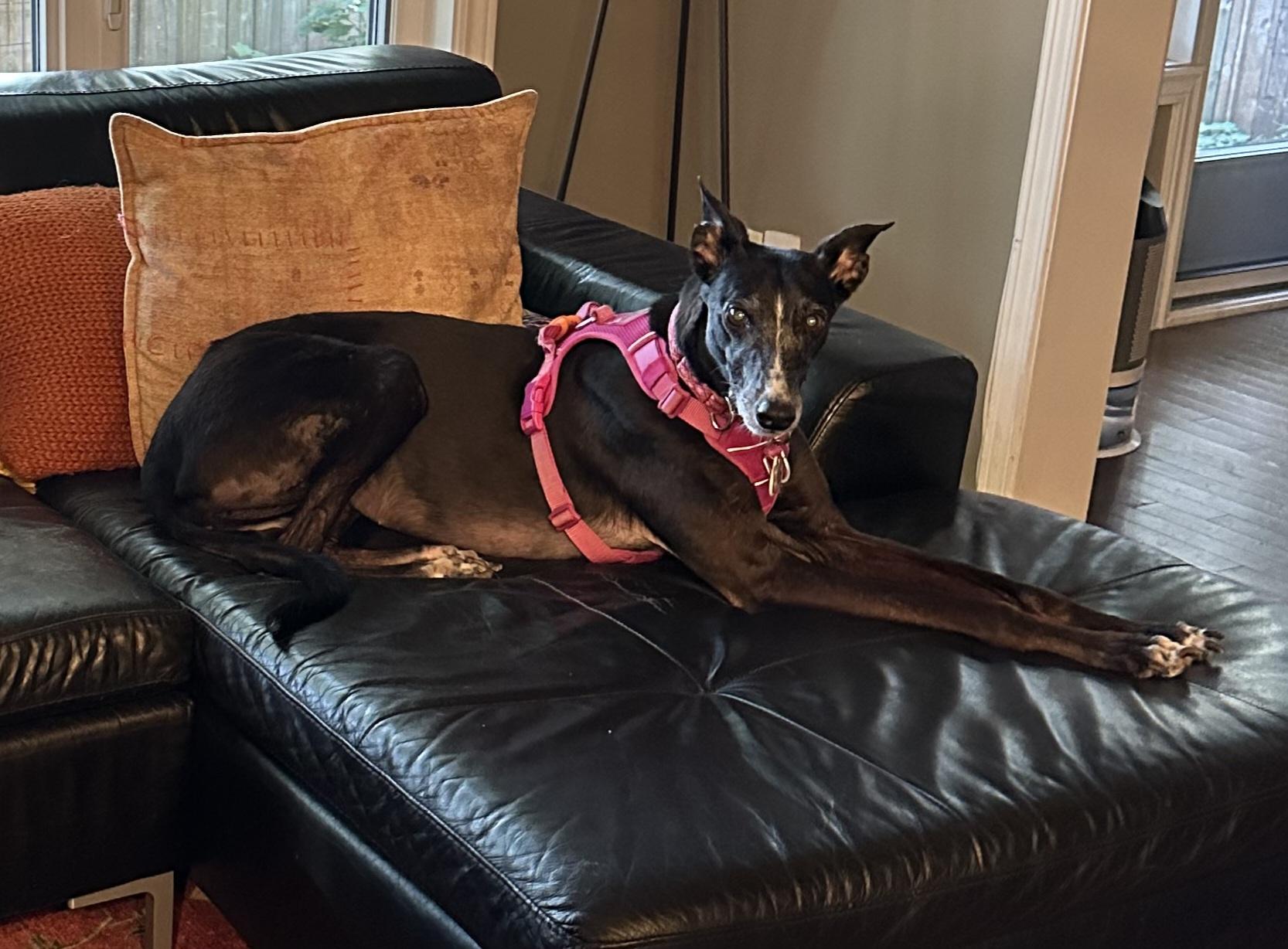 Skye